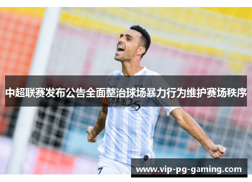 中超联赛发布公告全面整治球场暴力行为维护赛场秩序
